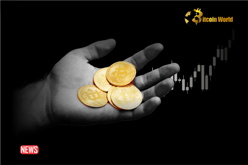 Bitcoin Surges 25% in 2 Weeks- Is This the Beginning of Bull Run?