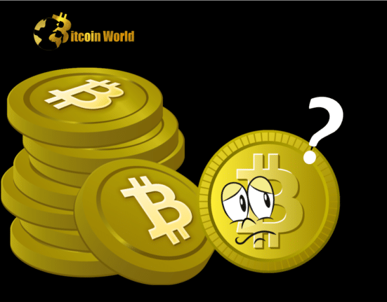 Bitcoin Price Prediction as BTC Rally Intensifies with $20 Billion Trading Volume – Can BTC Reach $30,000 This Week?