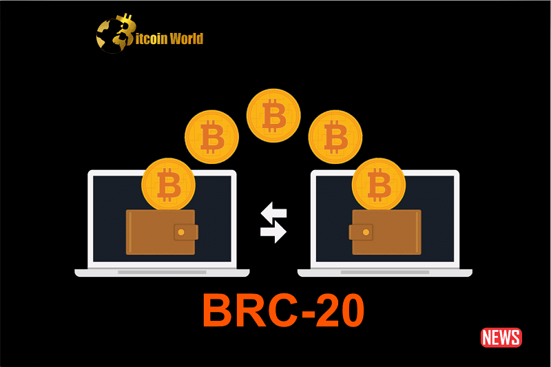 btc tranasct