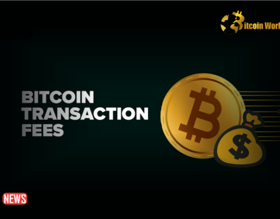 Bitcoin Transaction Fees Surge Post-Halving, Sparking Alternative Search Trends
