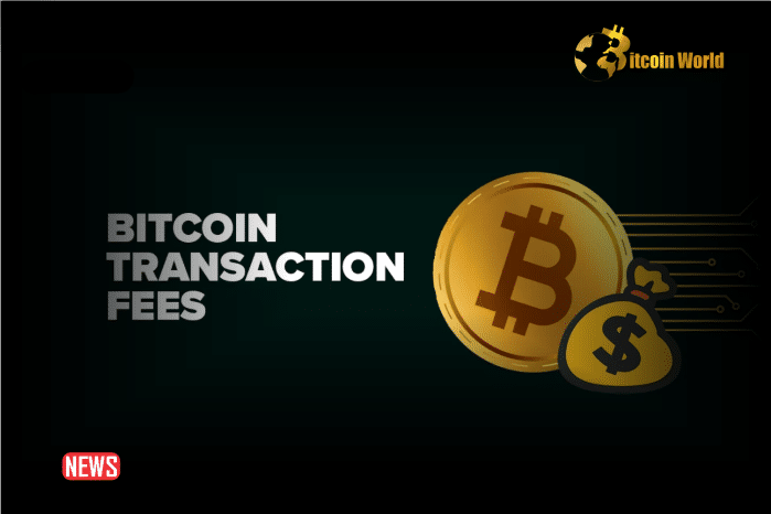 Bitcoin Transaction Fees Surge Post-Halving, Sparking Alternative Search Trends