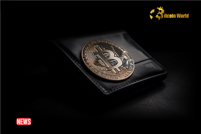 14 Years Dormant Bitcoin Wallet Recently Transferred Over $3 Million BTC