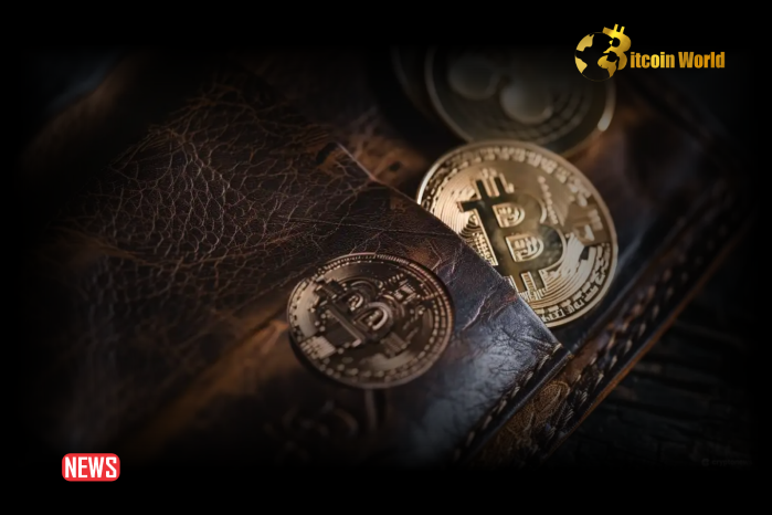 Early Miner’s Wallet Reawakens After Holding BTC For 14 Years