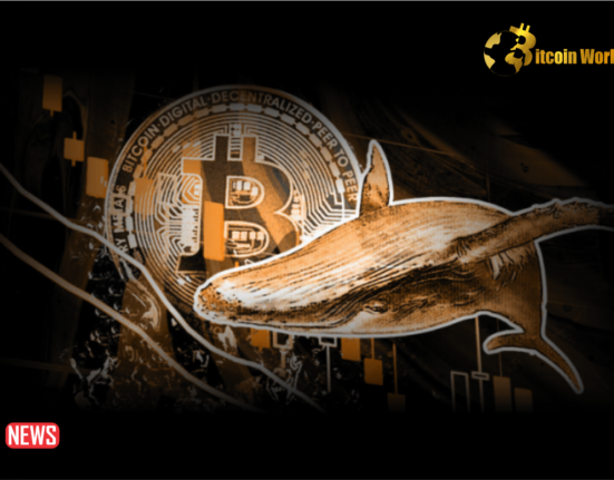 Bitcoin Whales Rack Up $600M BTC in 7 days – What’s Brewing?