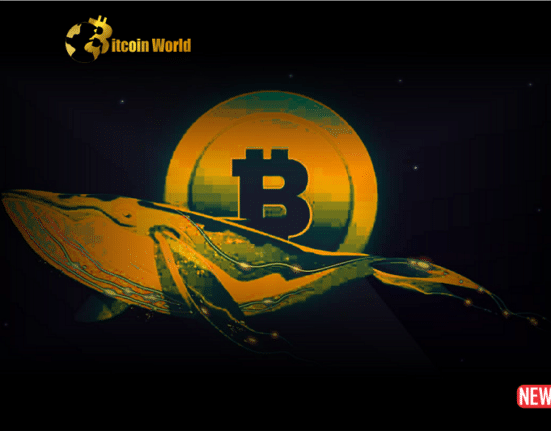 btc whale ac