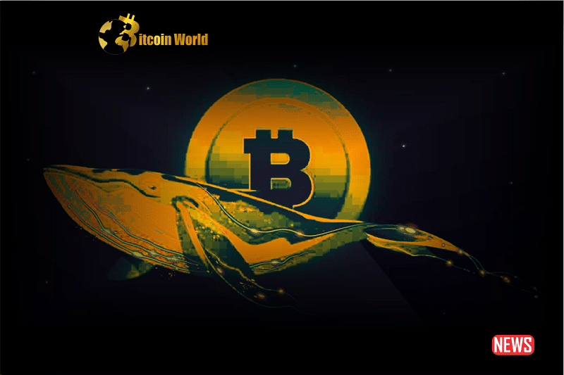 btc whale ac