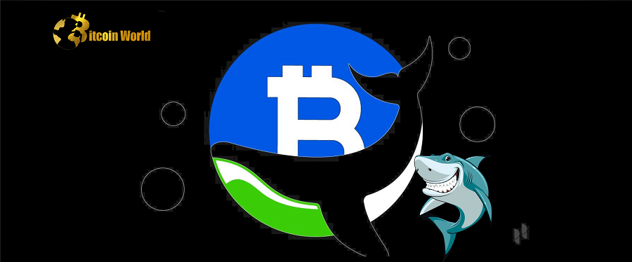 Bitcoin Whale and Shark Addresses Accumulated Over $4.4 Billion in $BTC Amid Price Rise