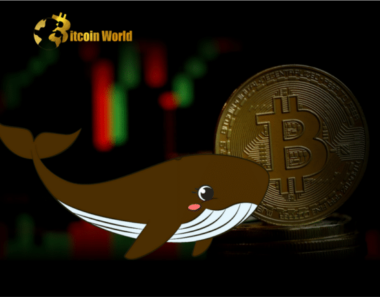 Bitcoin Price Prediction as Huge $75 Billion Trading Volume Floods In – Are Whales Buying?