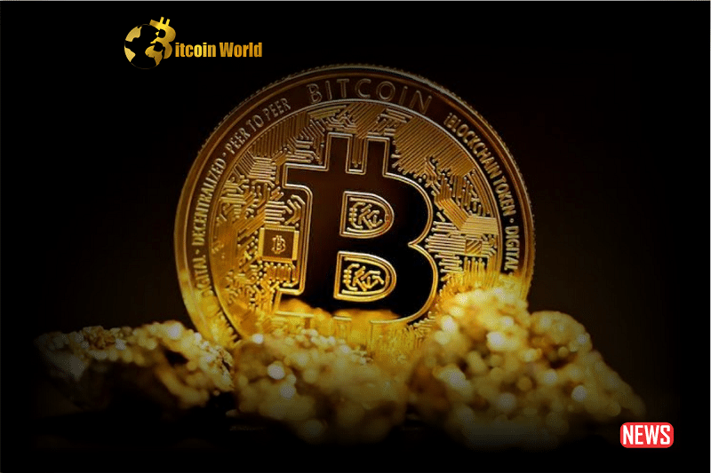btc worth