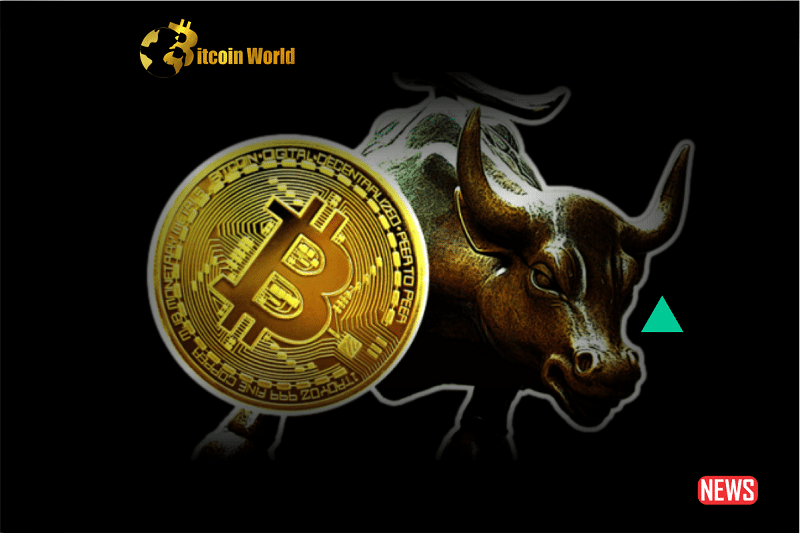 btcoin bull