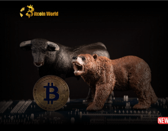 bull bear btc