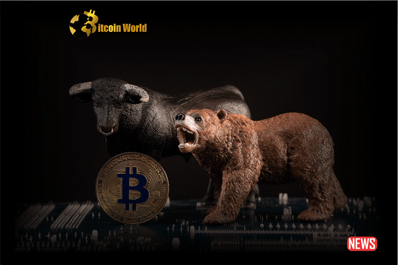 bull bear btc