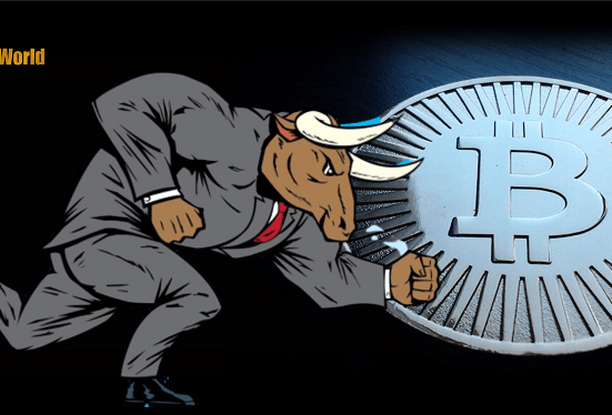 bull run btc