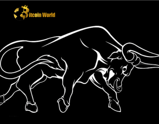 bull run meme coin