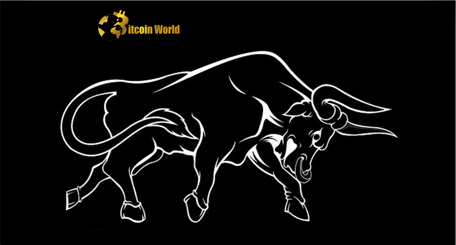 bull run meme coin