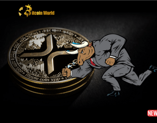 bull run xrp