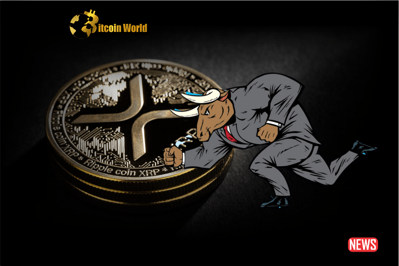 bull run