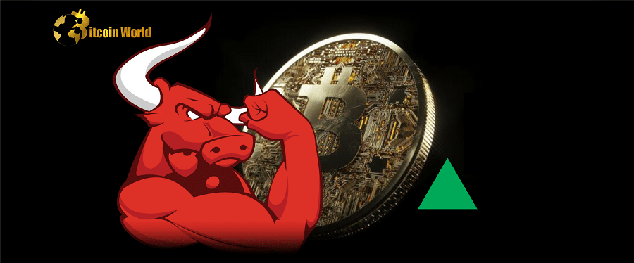 On-Chain Indicator MVRV Signals a Bitcoin Bull Market Ahead