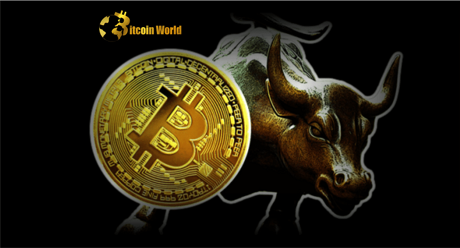 Bitcoin Bulls Remain Bullish, But Macro and Crypto-specific Hurdles Have BTC Pinned Below $30K