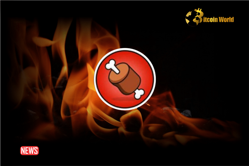 SHIB Team Plans To Burn BONE And All Other Top Shibarium Tokens