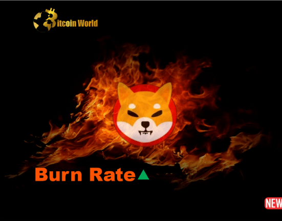 burn rate