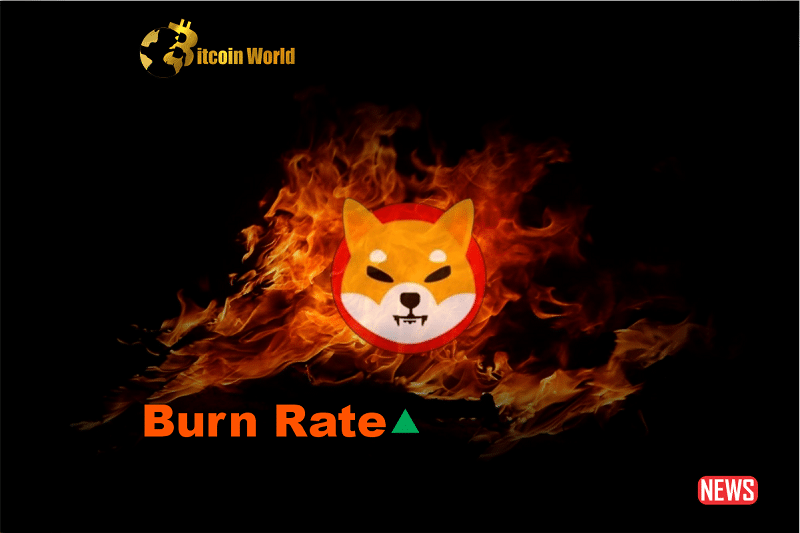 burn rate