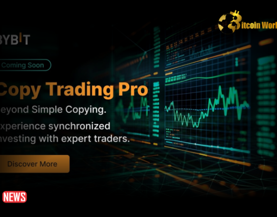 Bybit Introduces Copy Trading Pro for Enhanced Investment Opportunities