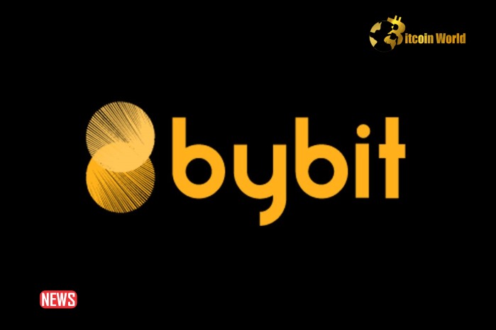 Crypto Exchange Bybit Registered As Virtual Asset Services Provider (VASP) In Argentina