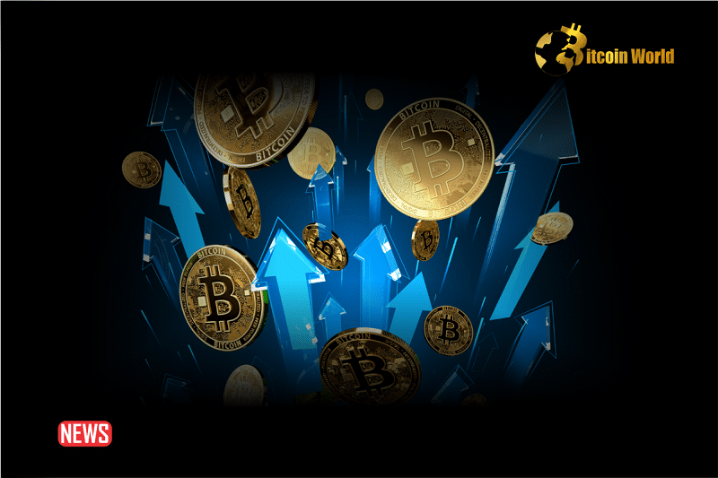 Bitcoin Price Shot Up to $44K While Altcoins Explode by Double Digits