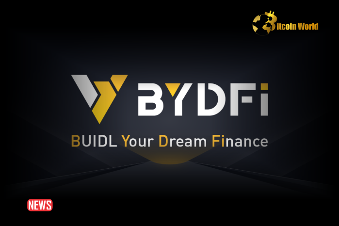 BYDFi Crypto Exchange Thrives Amid Meme Coin Boom