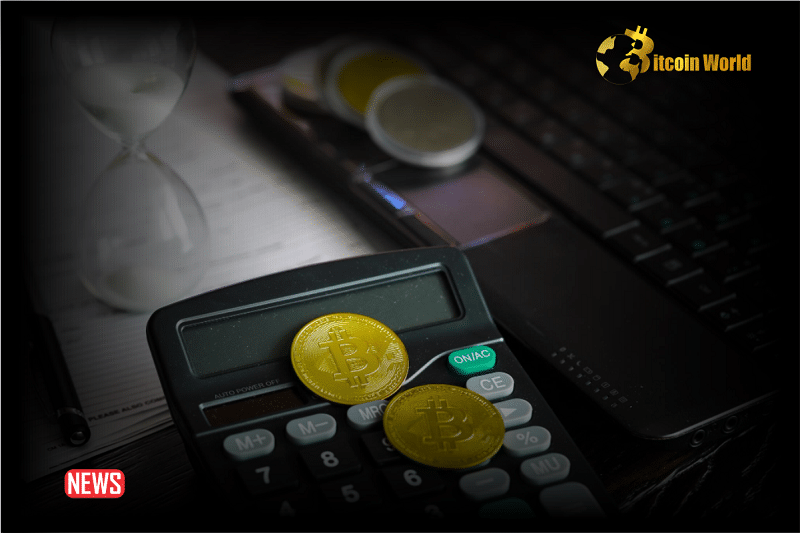 What Is The Best Crypto Profit Calculator Apps For 2024?