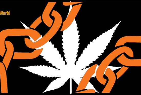 California Cannabis Producer Adopts Blockchain to Track its Weed