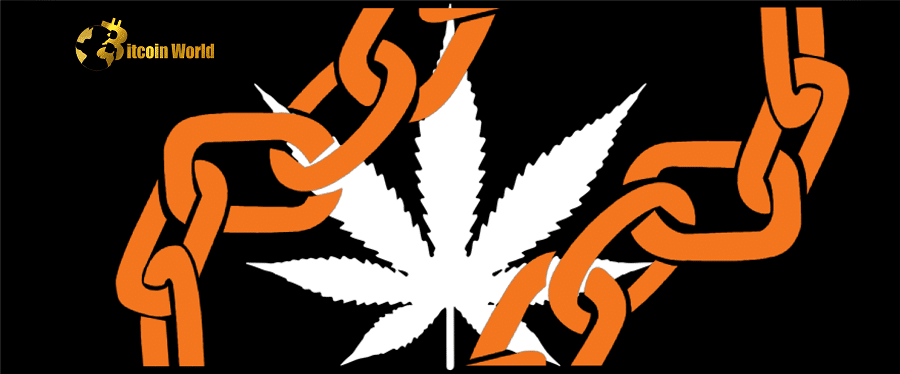 California Cannabis Producer Adopts Blockchain to Track its Weed