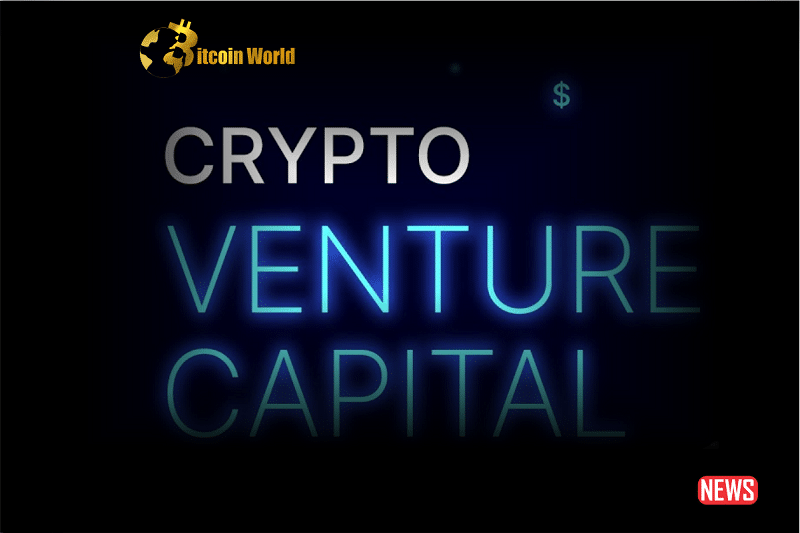 capital venture cap