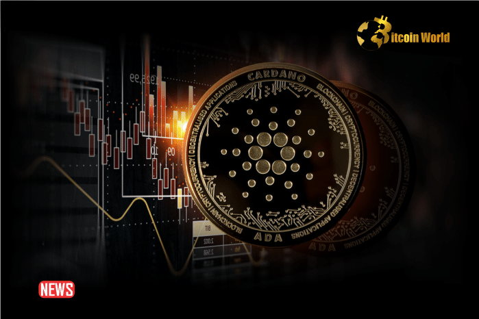 Cardano (ADA) Price Analysis: Bulls Aim Steady Increase