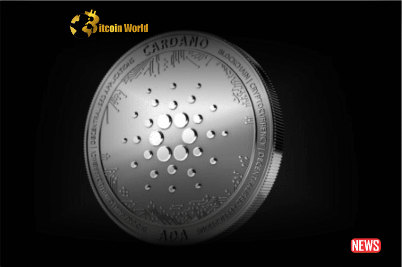 cardano 70