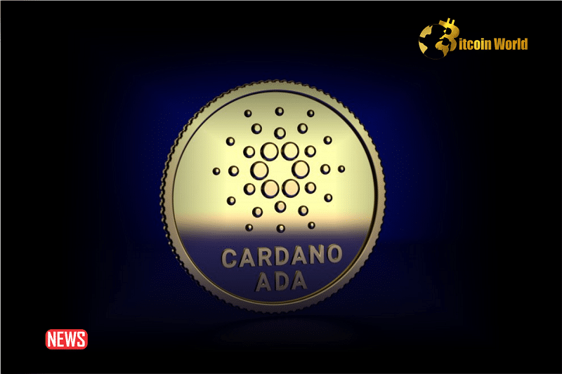 ADA Price Rose 36.5% in Two Weeks as Cardano Sees Increased Whale Transactions and Address Activity