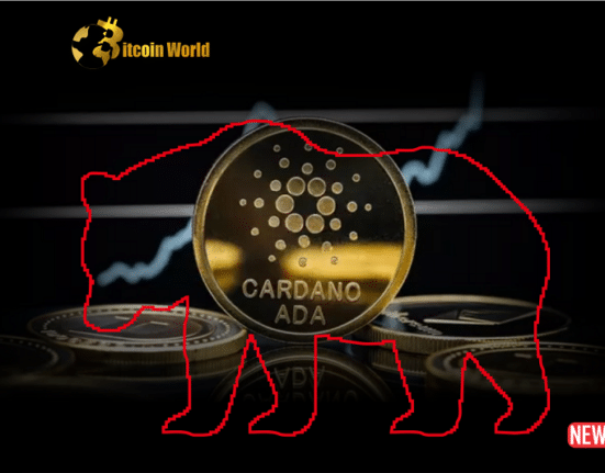 cardano bear rei