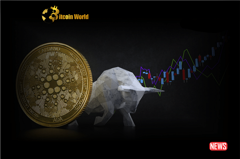 cardano bullish 1