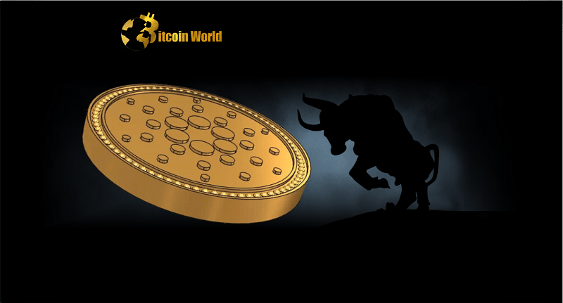 cardano bullish
