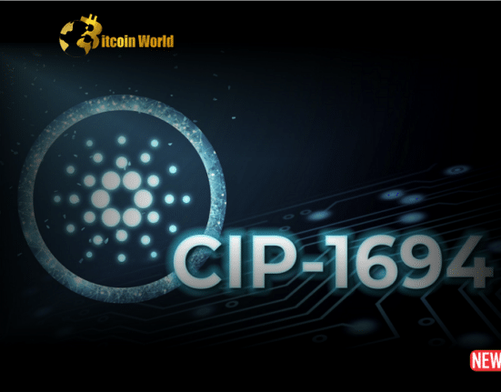 cardano cip