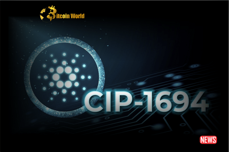 cardano cip