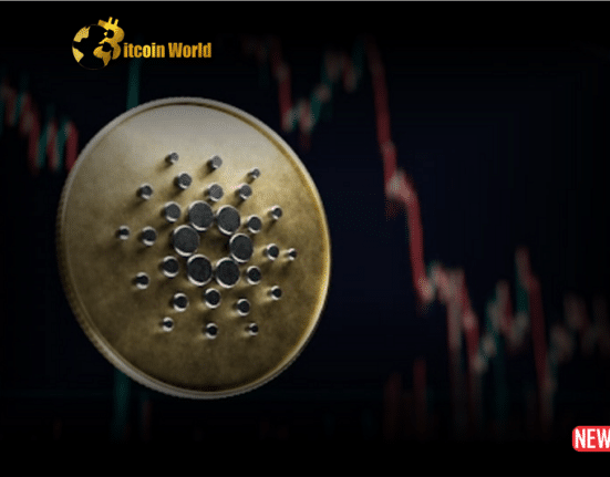 cardano comeback