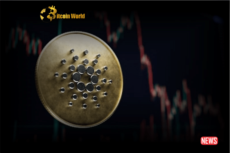 cardano comeback