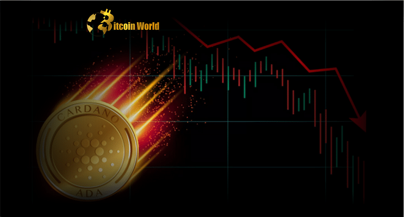 Crypto Community Estimates Cardano ($ADA) Price Drop in April Despite Growing Adoption and Whale Accumulation