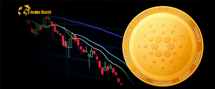 cardano drop