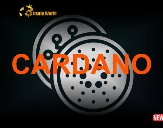 cardano excit