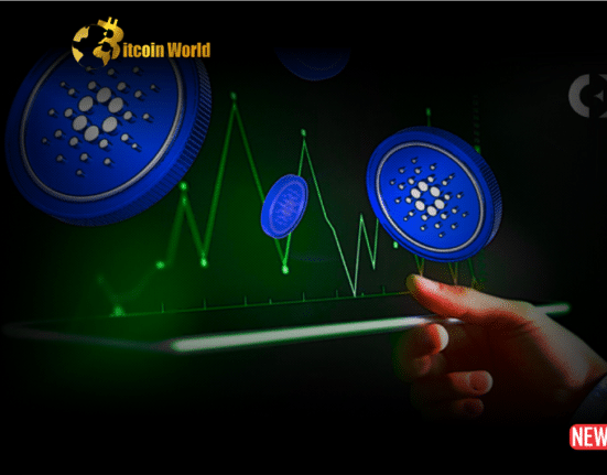 cardano explores