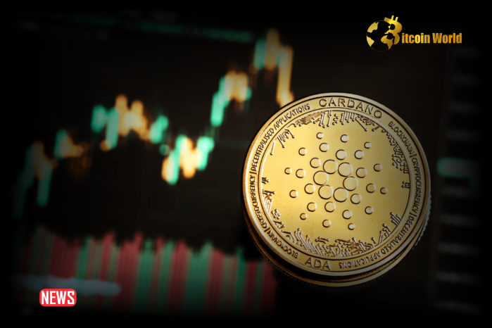 Cardano Kicked Out Of Top 10 Crypto By Market Cap, What’s Going On?