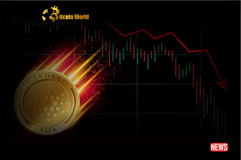 cardano fall